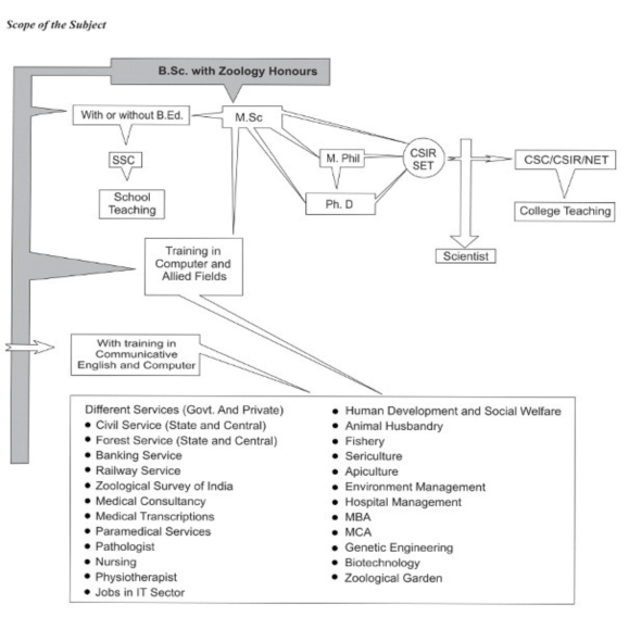 Departmental Magazine